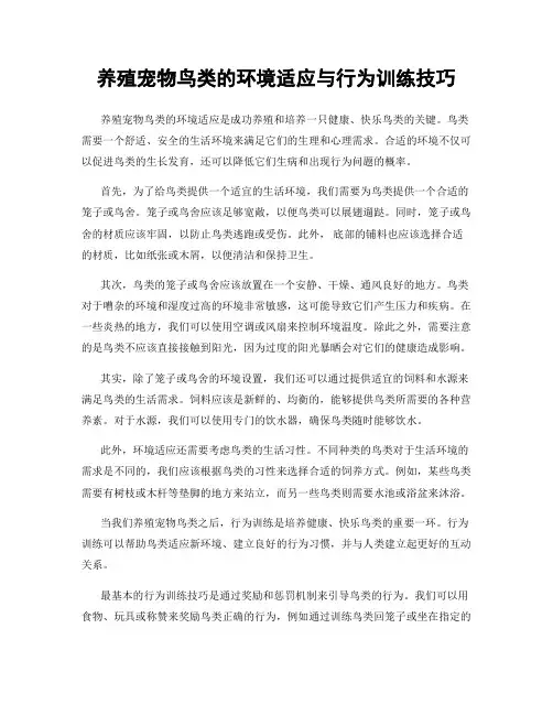 养殖宠物鸟类的环境适应与行为训练技巧