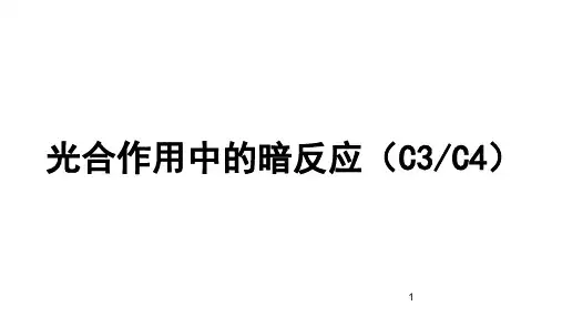 4现代生物科学导论