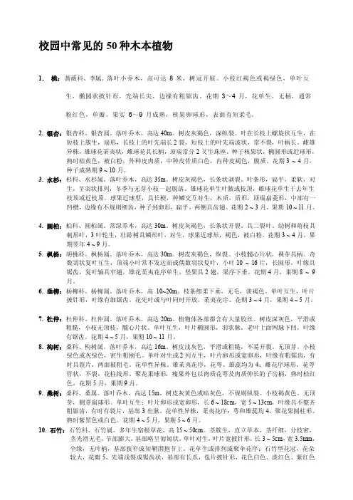 [策划书]校园中常见的50种木本植物