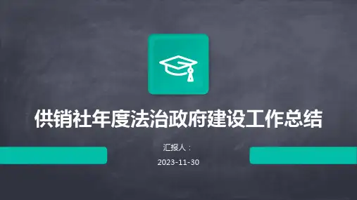 供销社年度法治政府建设工作总结