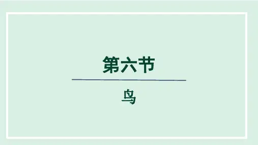人教生物八上第五单元 第一章 第六节 鸟