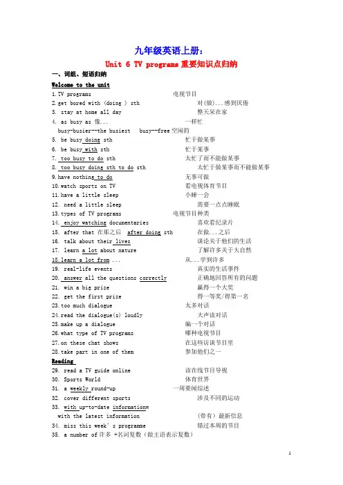 九年级英语上册Unit6TVprogrammes知识点总结(新版)牛津版