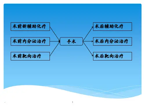 乳腺癌新辅助治疗和辅助治疗ppt课件