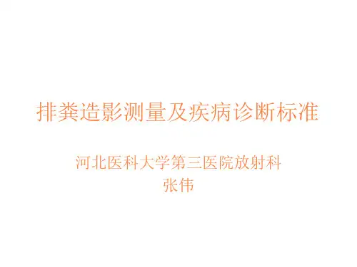 排粪造影测量及疾病诊断标准ppt课件