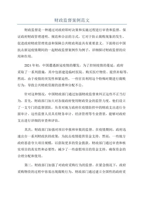 财政监督案例范文