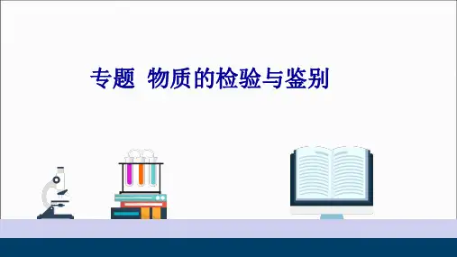 中考化学专题复习--物质的检验与鉴别课件(22张)
