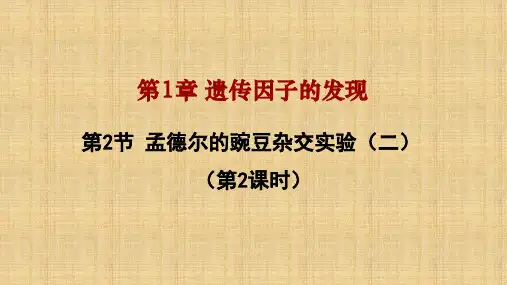 【公开课课件】孟德尔的豌豆杂交实验(二)课件高一下学期生物人教版必修2