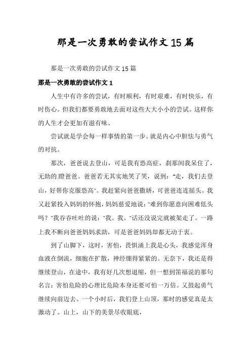 那是一次勇敢的尝试作文15篇