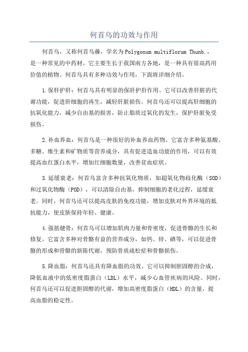 何首乌的功效与作用