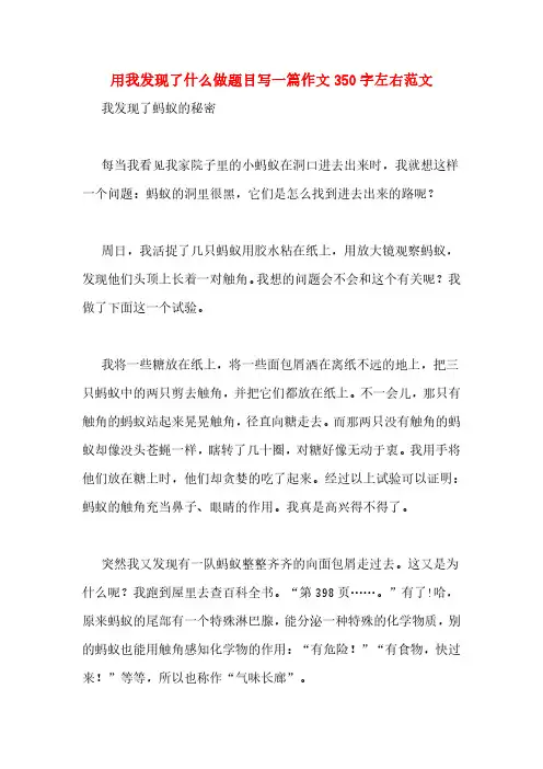 用我发现了什么做题目写一篇作文350字左右范文