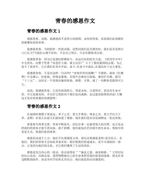 青春的感恩作文