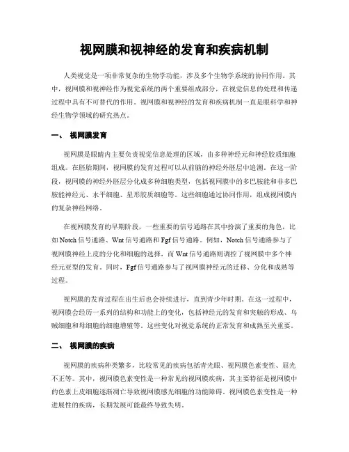 视网膜和视神经的发育和疾病机制