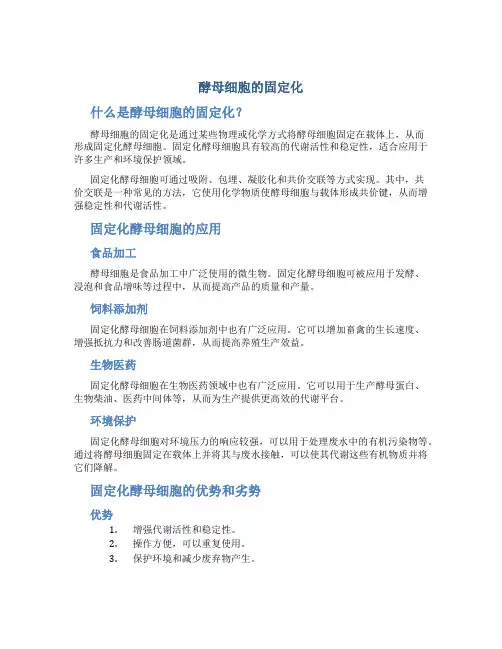 酵母细胞的固定化