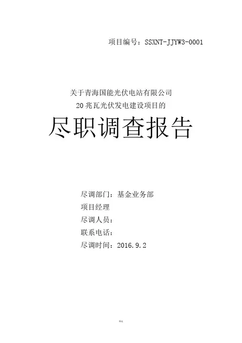 尽职调查报告(国能光伏电站)网传版1