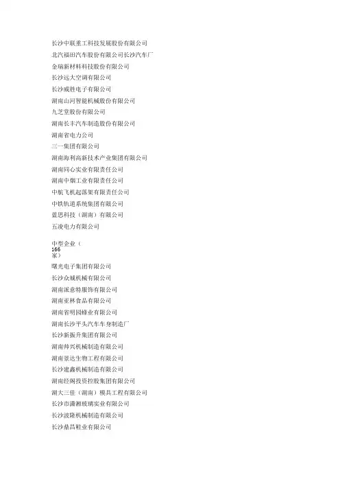 湖南大型工业企业名单