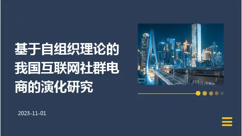 基于自组织理论的我国互联网社群电商的演化研究
