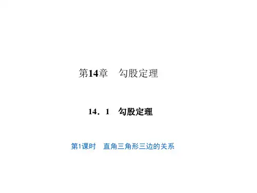 1.1直角三角形三边的关系PPT课件(华师大版)