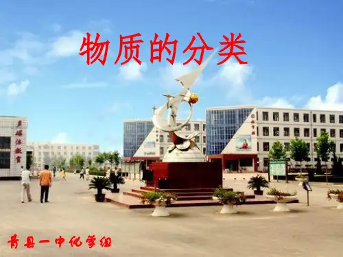 苏教版化学必修一1.1 丰富多彩的化学物质-物质的分类 课件 (共18张PPT)