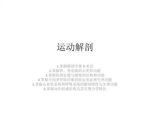 运动解剖(2)