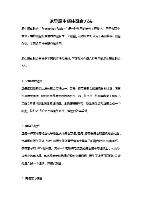 诱导原生质体融合方法