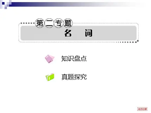 高考英语一轮复习语法专题精讲精练2：名词