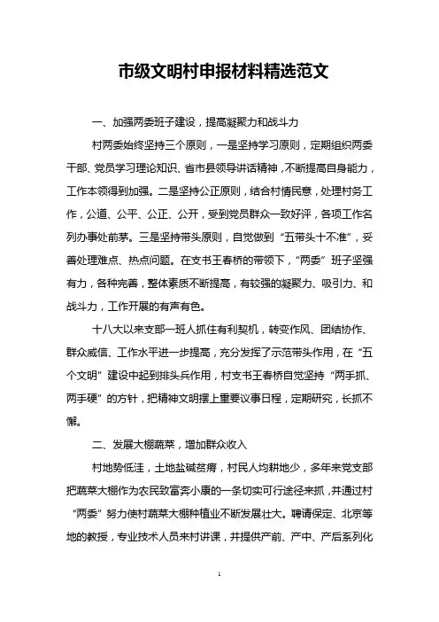 市级文明村申报材料精选范文