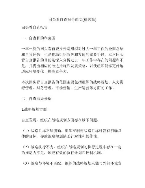 回头看自查报告范文(精选篇)