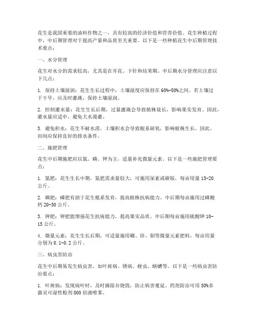 种植花生中后期管理技术