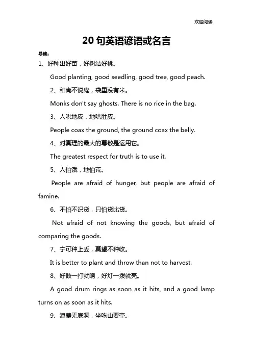 20句英语谚语或名言