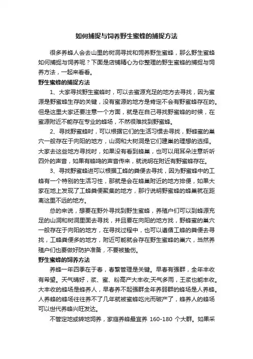 如何捕捉与饲养野生蜜蜂的捕捉方法