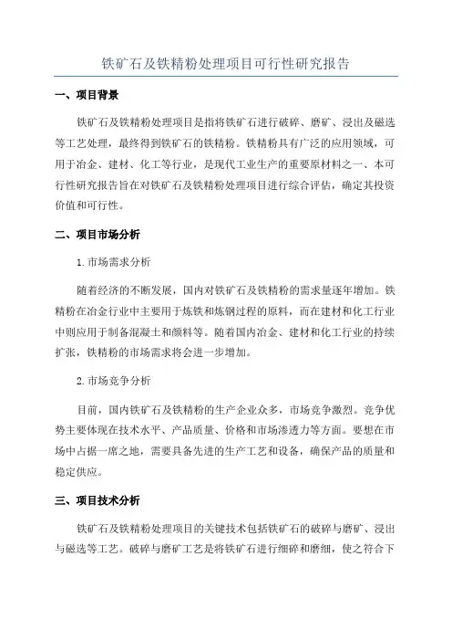 铁矿石及铁精粉处理项目可行性研究报告