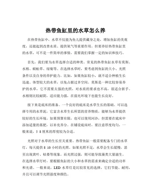 热带鱼缸里的水草怎么养