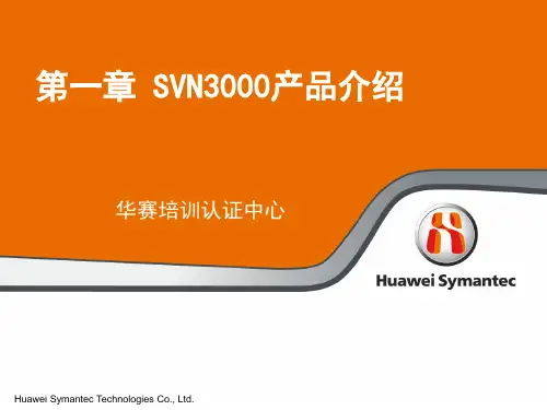 华为 SVN3000产品介绍
