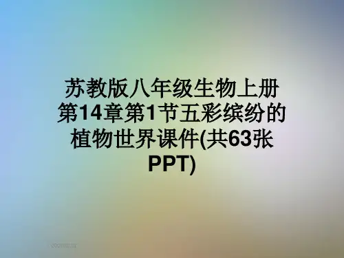 苏教版八年级生物上册第14章第1节五彩缤纷的植物世界课件(共63张PPT)