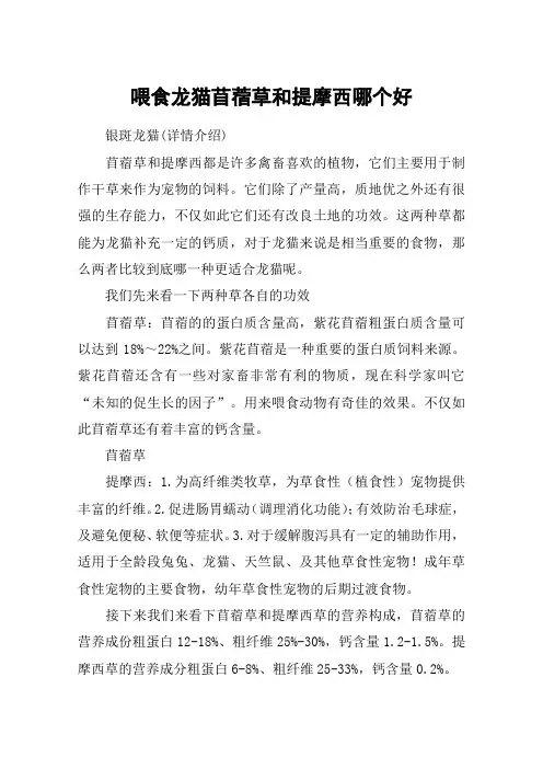 喂食龙猫苜蓿草和提摩西哪个好