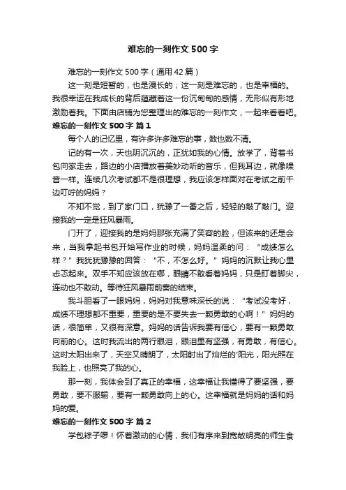 难忘的一刻作文500字