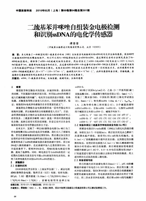 二巯基苯并咪唑自组装金电极检测和识别ssDNA的电化学传感器