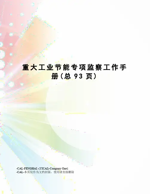 重大工业节能专项监察工作手册