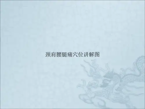 颈肩腰腿痛穴位讲解图