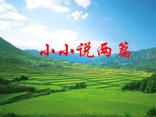 7296.初中语文鄂教版语文九年级上册第三单元课件：第12课《小小说两篇》(共37张PPT)