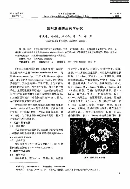 昆明龙胆的生药学研究