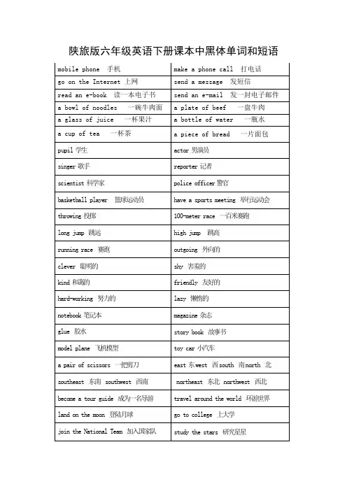 陕旅版六年级英语下册课本中黑体单词和短语