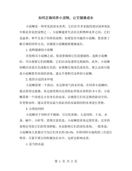 如何正确饲养小泥鳅,让它健康成长