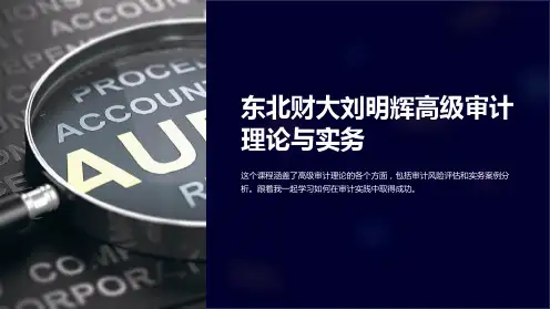 东北财大刘明辉高级审计理论与实务(课件)