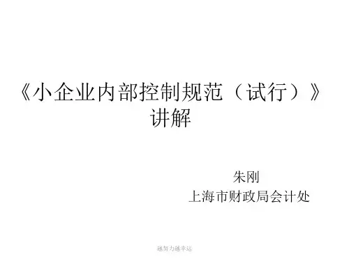 《小企业内部控制规范(试行)》讲解-新版