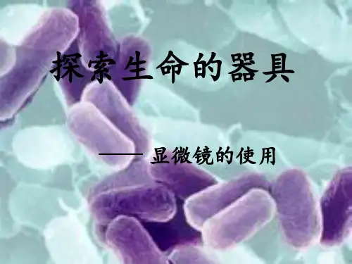 苏教版七年级生物上册第二章第一节探索生命的器具210张ppt