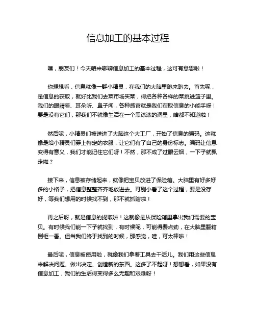 信息加工的基本过程