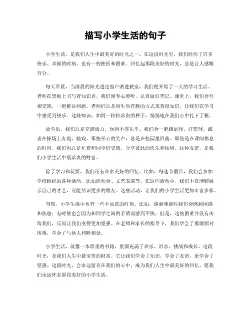 描写小学生活的句子