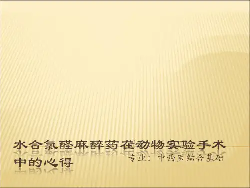 大鼠水合氯醛麻醉的方法