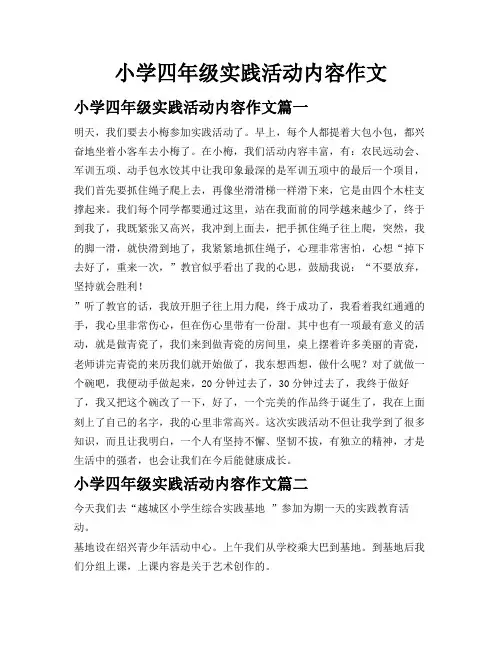 小学四年级实践活动内容作文